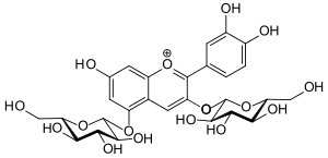 Struktur von Cyanidin-3,5-diglucosid (Kation)