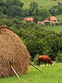 Bélyegkép a 2007. január 3., 22:52-kori változatról