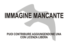 Immagine di Aramornis longurio mancante