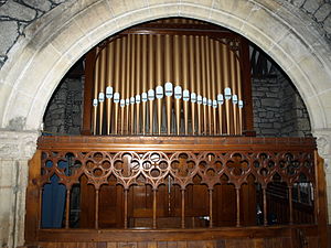 The organ