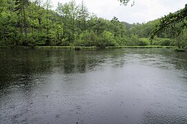 Walzweiher