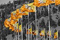 Gönderde dalgalanan Bhutan bayrakları