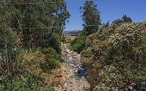 Als Müllhalde genutzter Fluss