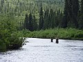 Pescatori lungo il fiume Gulkana