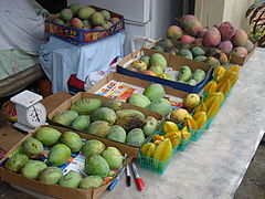 Σημείο πώλησης μάνγκο στη νήσο Μέριτ, Φλόριντα.