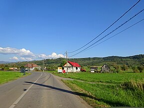 Aluniș