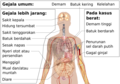 Bahasa Indonesia (اندونزیایی)