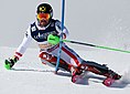 Marcel Hirscher (2017)