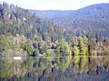 Der Albstausee unterhalb von St. Blasien