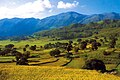 Landschaft im Araku Valley, Andhra Pradesh