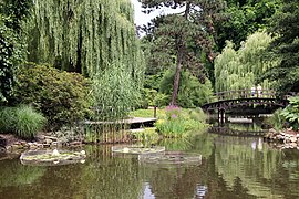 Botanischer Garten