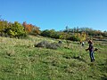 Pflegeeinsatz des Naturschutzbund Niederösterreich