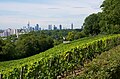 Blick über den Weinberg auf Teile Seckbachs und der Innenstadt, Juli 2011