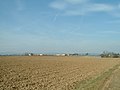 Blick auf den Ort von Massenheim aus