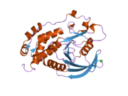 2a8b: Crystal Structure of the Catalytic Domain of Human Tyrosine Phosphatase Receptor, Type R