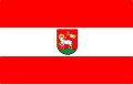 Flag of Wieluński County