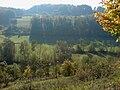 Blick auf den lebhaft murmelnden und in der Sonne glänzenden Sindelbach vom südexponierten Trockenhang zwischen Dörrenzimmern und Eberstal