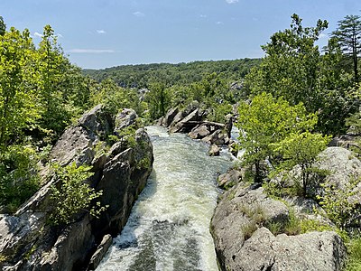 Southward view of the Potomac River from a footbridge on Olmsted Island. July 2021.