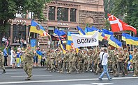 Volyn Oblast veterans of the War in Donbass during the 2020 procession