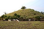 Ancient Mound(Kumbhar tekri)