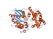 1zcb: Crystal structure of G alpha 13 in complex with GDP