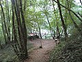 Lehrpfad in die Schlucht des Pazinčica-Flusses