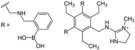 Receptor for selectively binding tannines