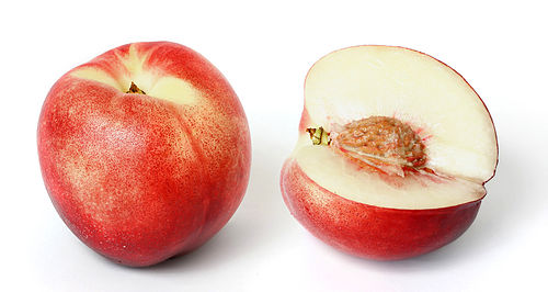 Nectarine and cross-section