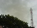 Trees under clouds, Balurghat