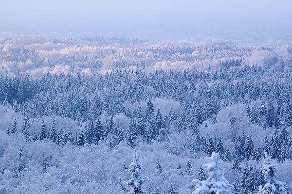 Haanja Nature Reserve, a Natura 2000 area, in Estonia. Show another