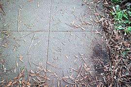 Sidewalk signature