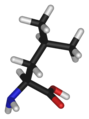 leucine