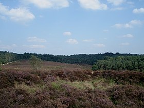 Mookerheide bij Molenhoek