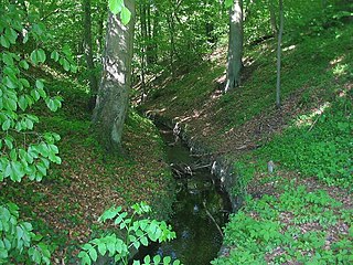 Nettelgraben am Kloster Chorin (Durchstich zur Ragöse, wahrscheinlich aus dem 15. Jahrhundert)