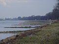 Niedrigwasser am Rhein