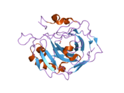 2nxt: Structural and kinetic effects of hydrophobic mutations in the active site of human carbonic anhydrase II