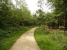 Verhard pad in het Lintbos, Grimbergen