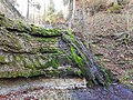 Wasserfall im Bachtobel