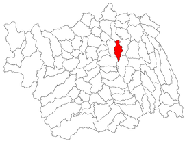 Location in Bacău County