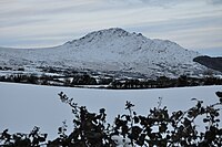 Carlingford Mountain