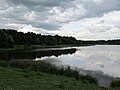 Lebedyanskij pond in Moscow