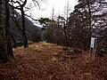 Blick auf das Plateau 1 des Diebsschlößles und nach Westen. Über der Tafel erkennt man durch den Bewuchs noch das Siedlungsgebiet von Bludenz.