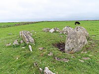 Wedge Tomb von Carranduff