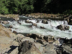 East Fork Lewis River at Moulton Falls Park