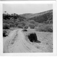 The track into Palm Valley, c1955