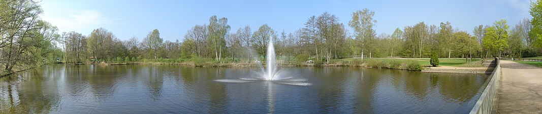 Zwanenvijver in het stadspark