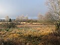 Landschaft im Hohen Venn