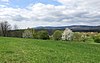 Blick von Bubenhäuser Höhe bei Eltville nach Westen auf Hallgarter Zange, Kalte Herberge und Erbacher Kopf