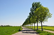 Het Weddepad door de Oostbroekpolder