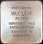 Stolperstein für Max Levy (Neusser Straße 38)